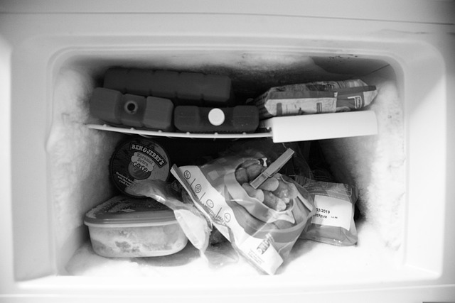 frigidaire chest freezer​